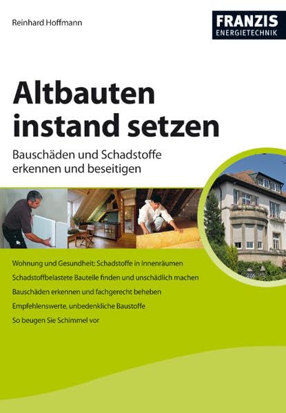 Altbauten richtig instand setzen: Schadstoffe erkennen und beseitigen (Energietechnik) Home & Household