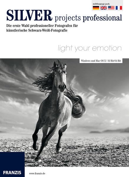 Silver projects professional Other software