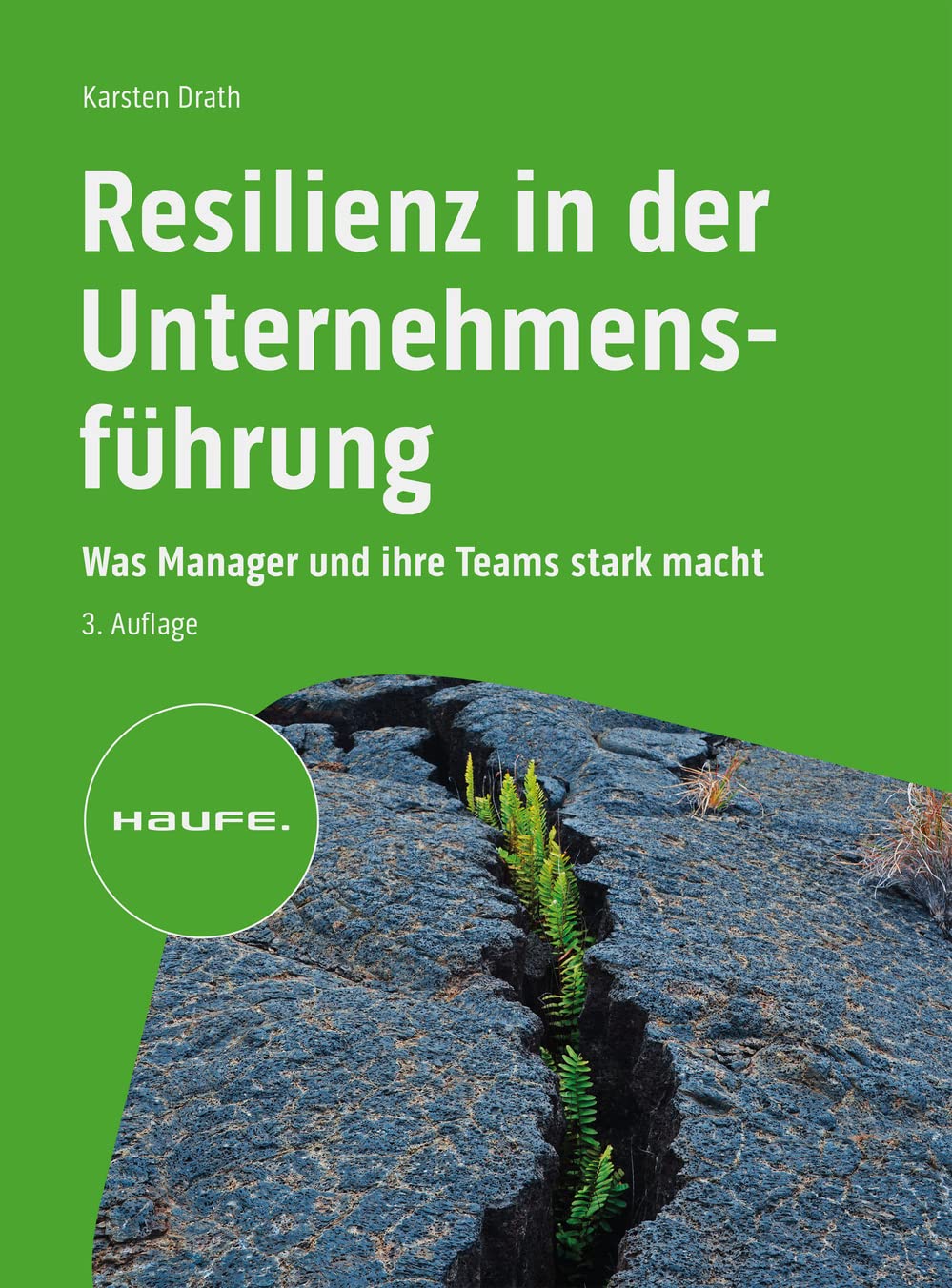 Resilienz in der Unternehmensführung Law