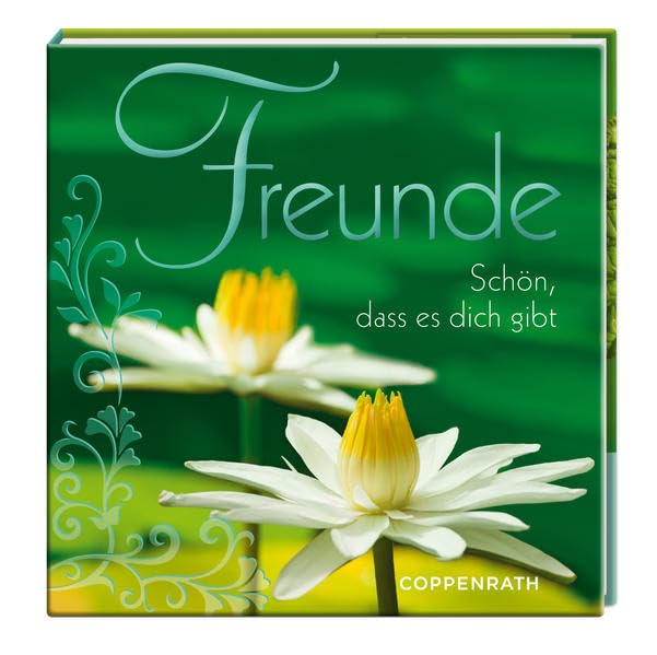 BelLibri: Freunde: Schön, dass es dich gibt (Geschenkbücher für Erwachsene) Living & Furnishing