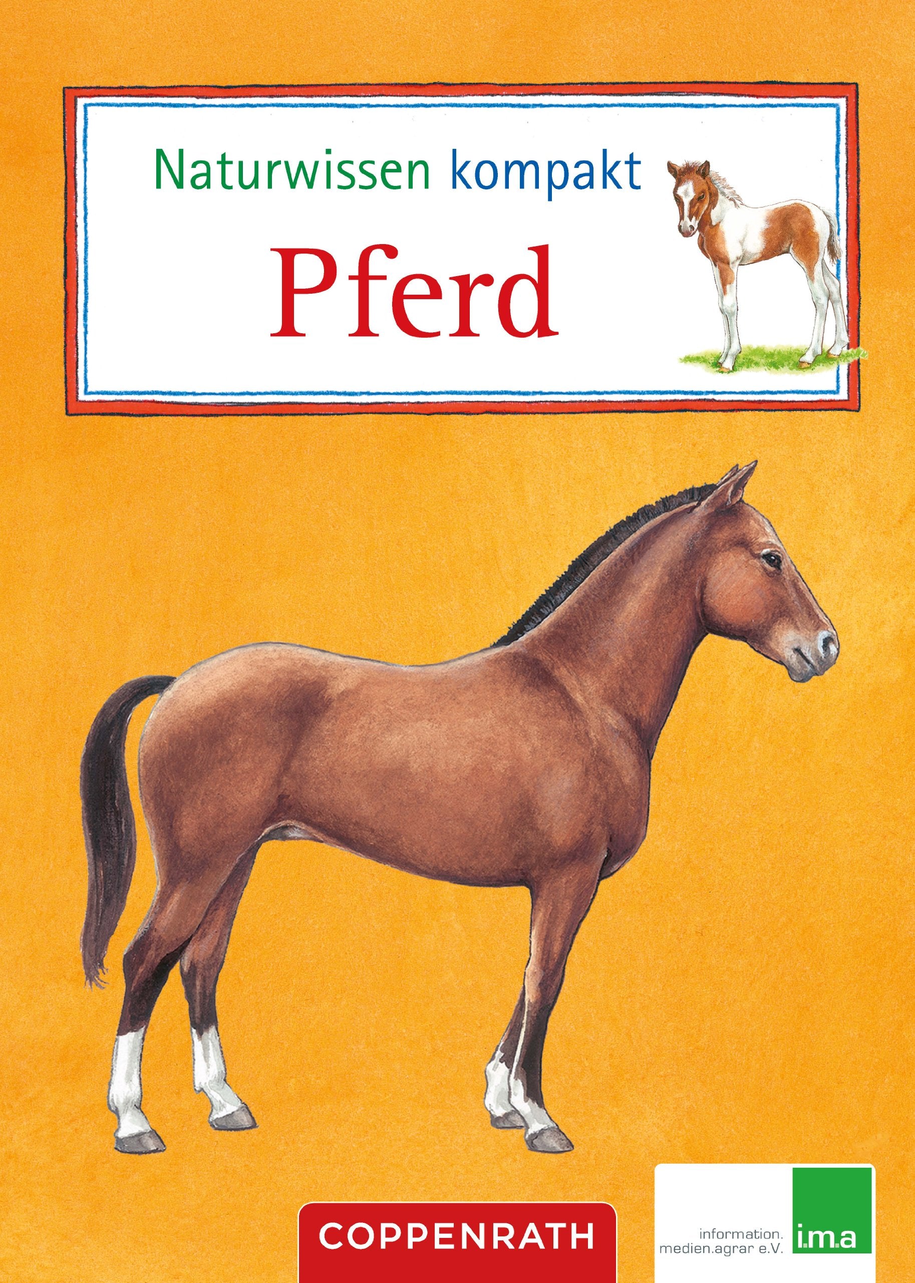 Naturwissen kompakt: Pferd: (Verkaufseinheit) (Kreativ- und Sachbücher) Natural Sciences