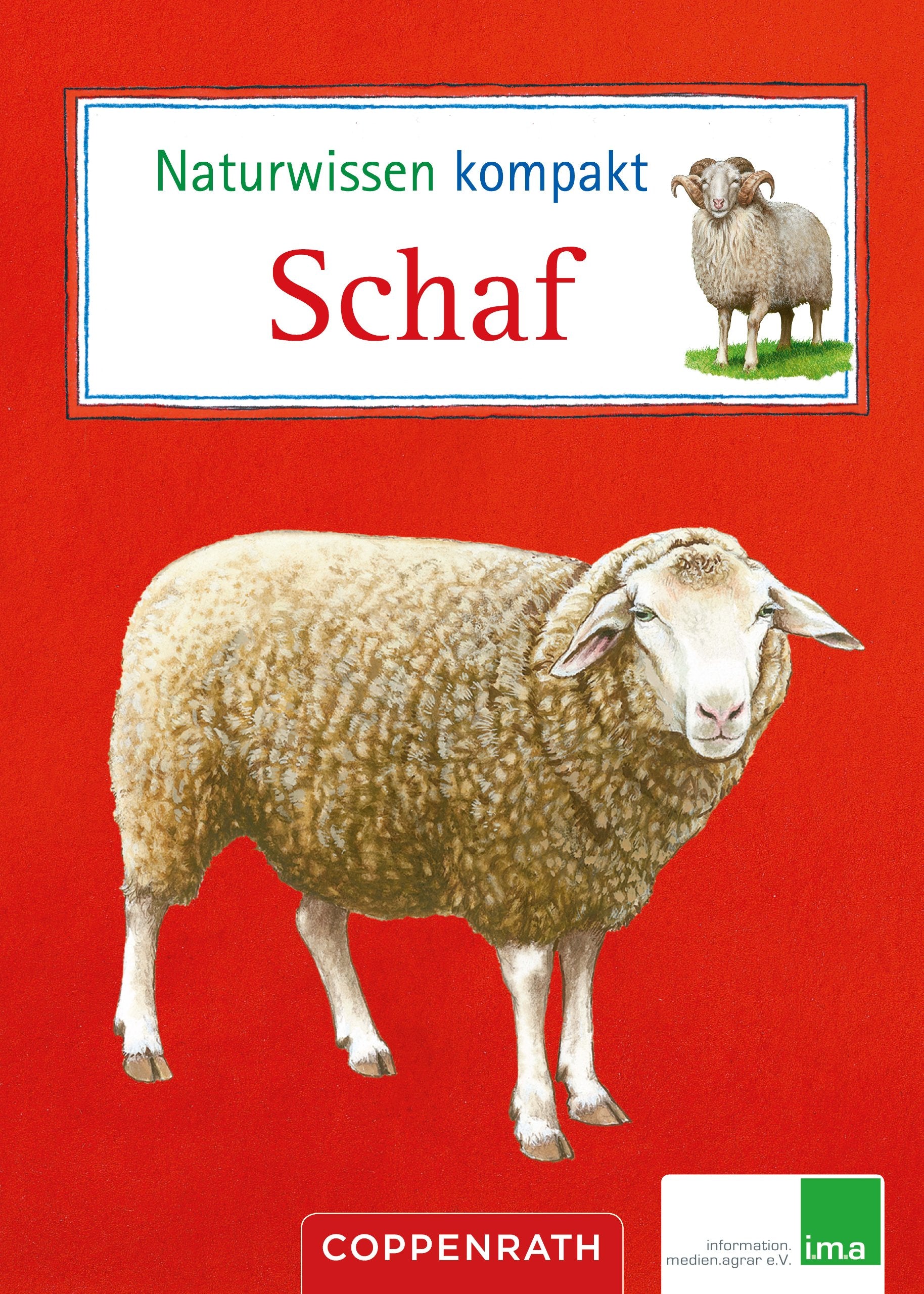 Naturwissen kompakt: Schaf: (Verkaufseinheit) (Kreativ- und Sachbücher) Natural Sciences