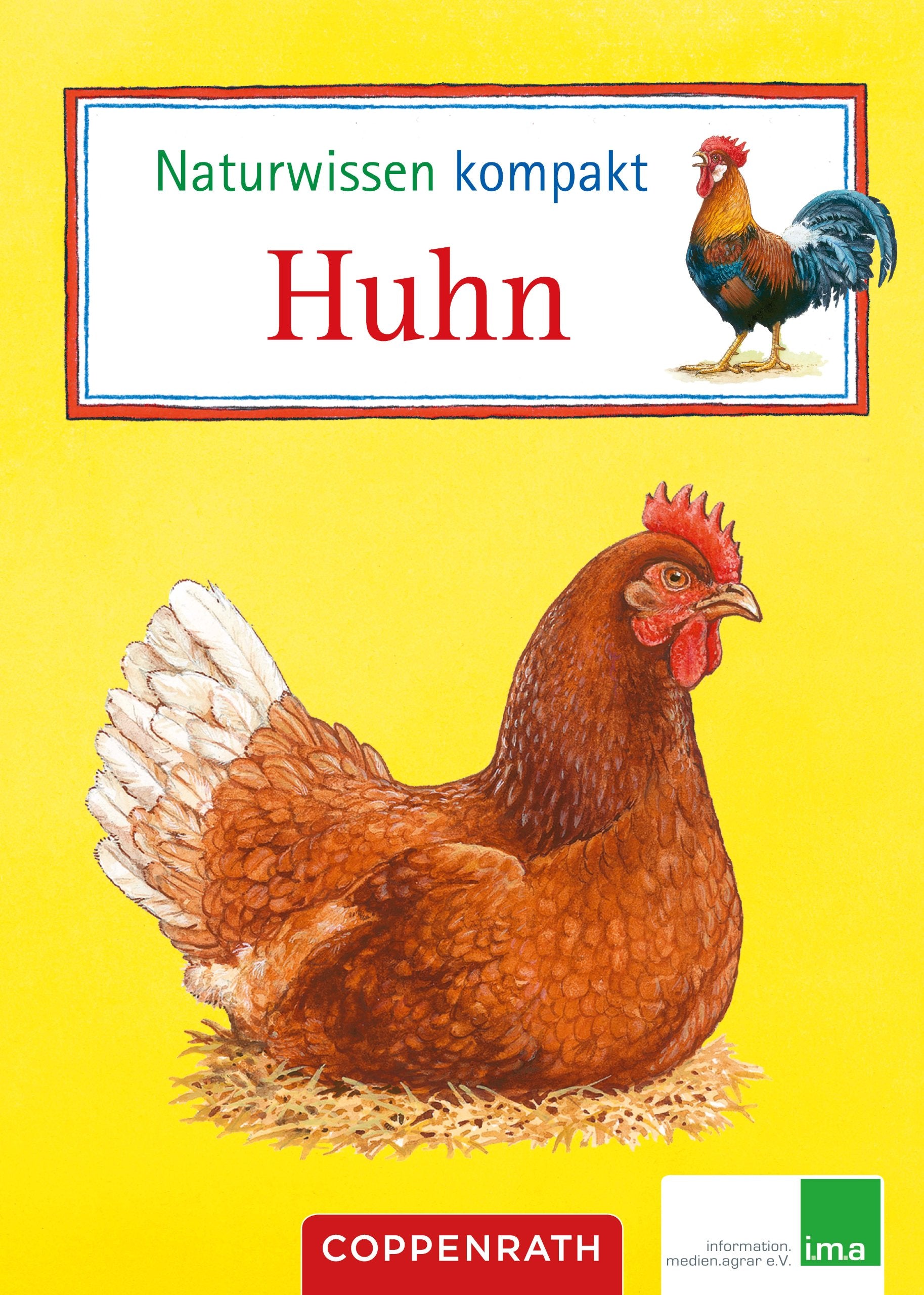 Naturwissen kompakt: Huhn: (Verkaufseinheit) book