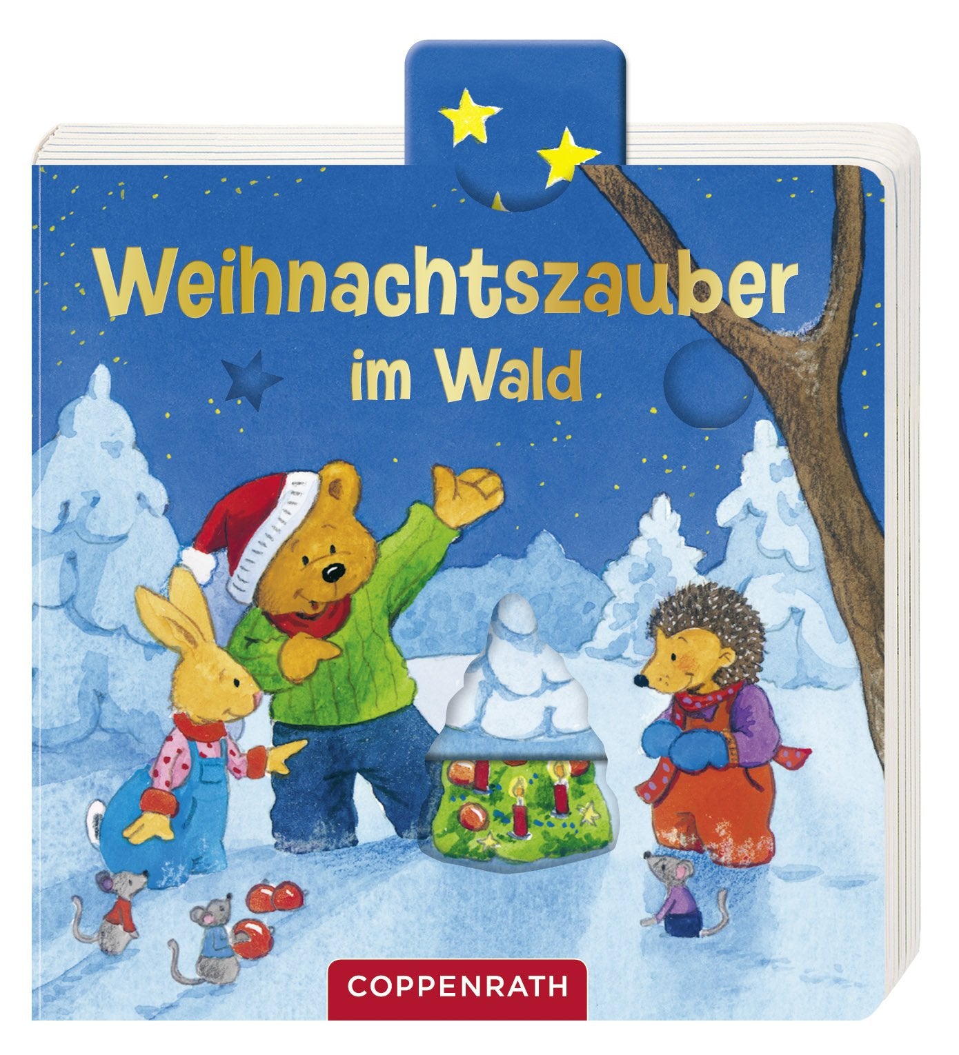 Schieben & Entdecken: Weihnachtszauber im Wald (Bücher für die Kleinsten) Children's books