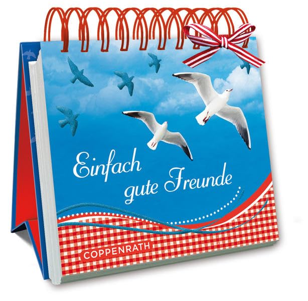 Kleines Spiralaufstellbuch: Einfach gute Freunde (Geschenkbücher für Erwachsene) Lifestyle