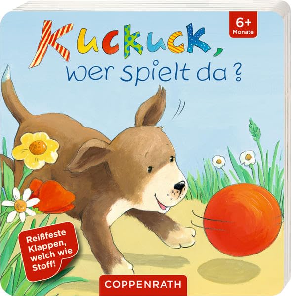 Kuckuck, wer spielt da? Non-fiction books for kids