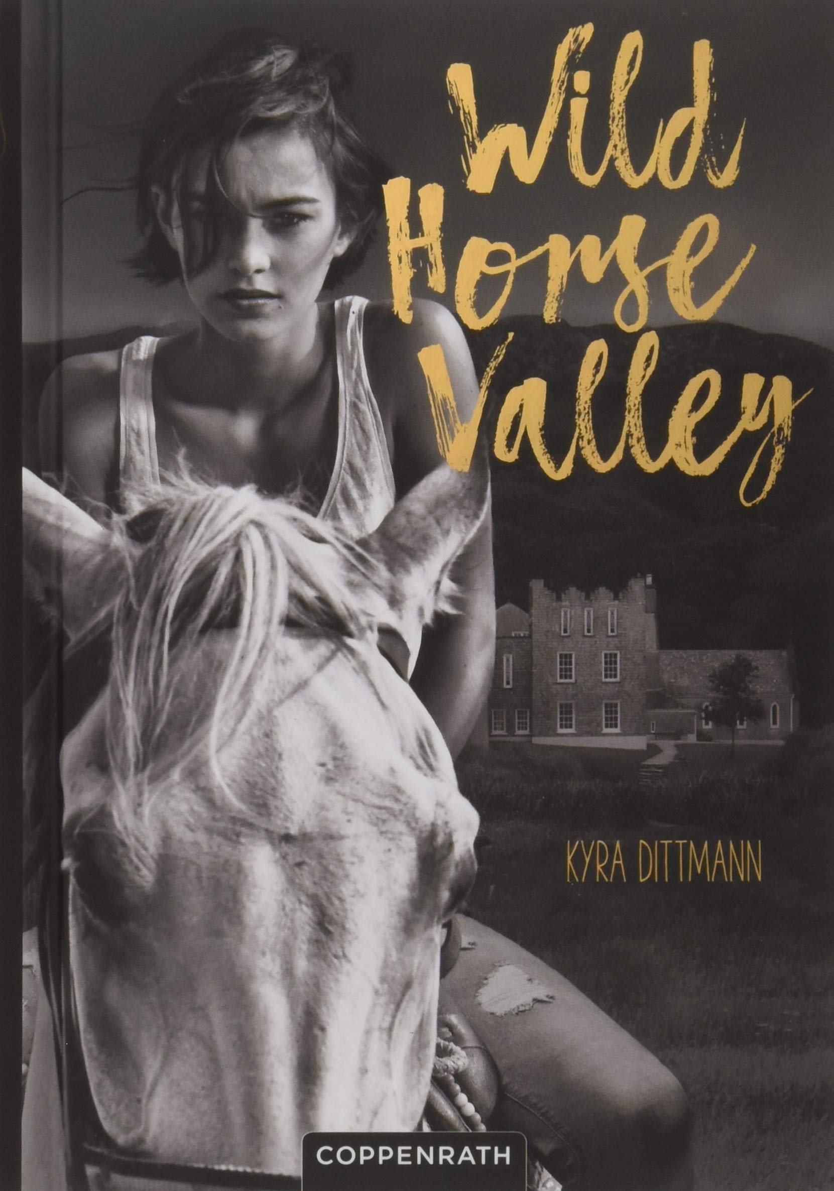 Wild Horse Valley Fiction books for children