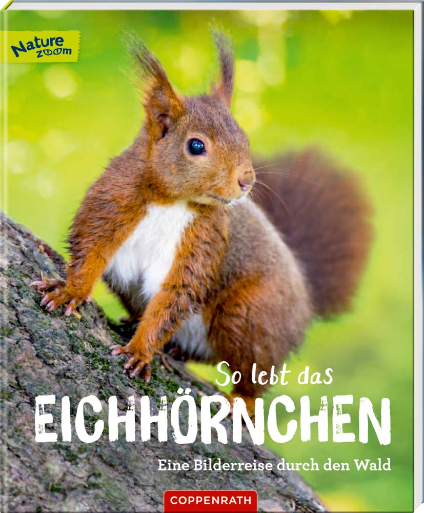 So lebt das Eichhörnchen Non-fiction