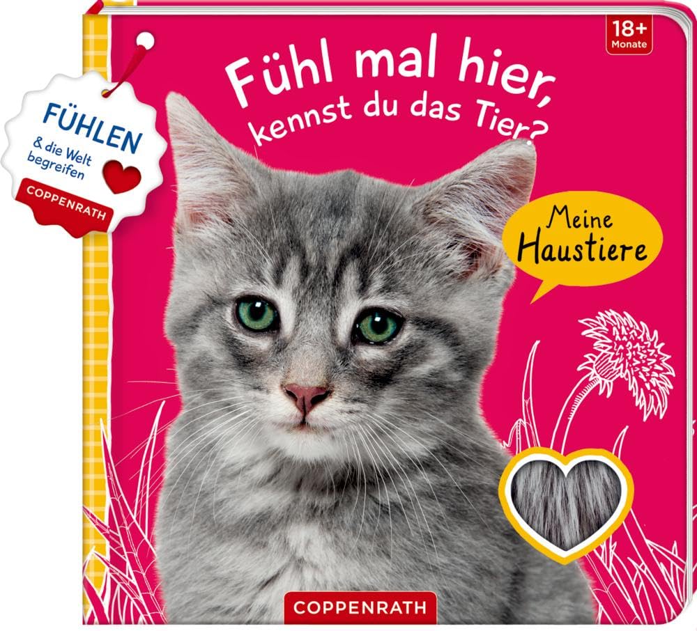 Fühl mal hier, kennst du das Tier? Meine Haustiere: Fühlen und die Welt begreifen Non-fiction