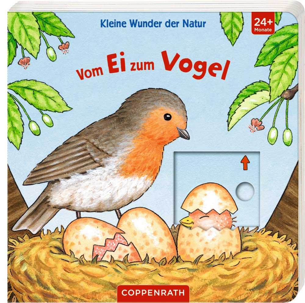 Kleine Wunder der Natur: Vom Ei zum Vogel Non-fiction