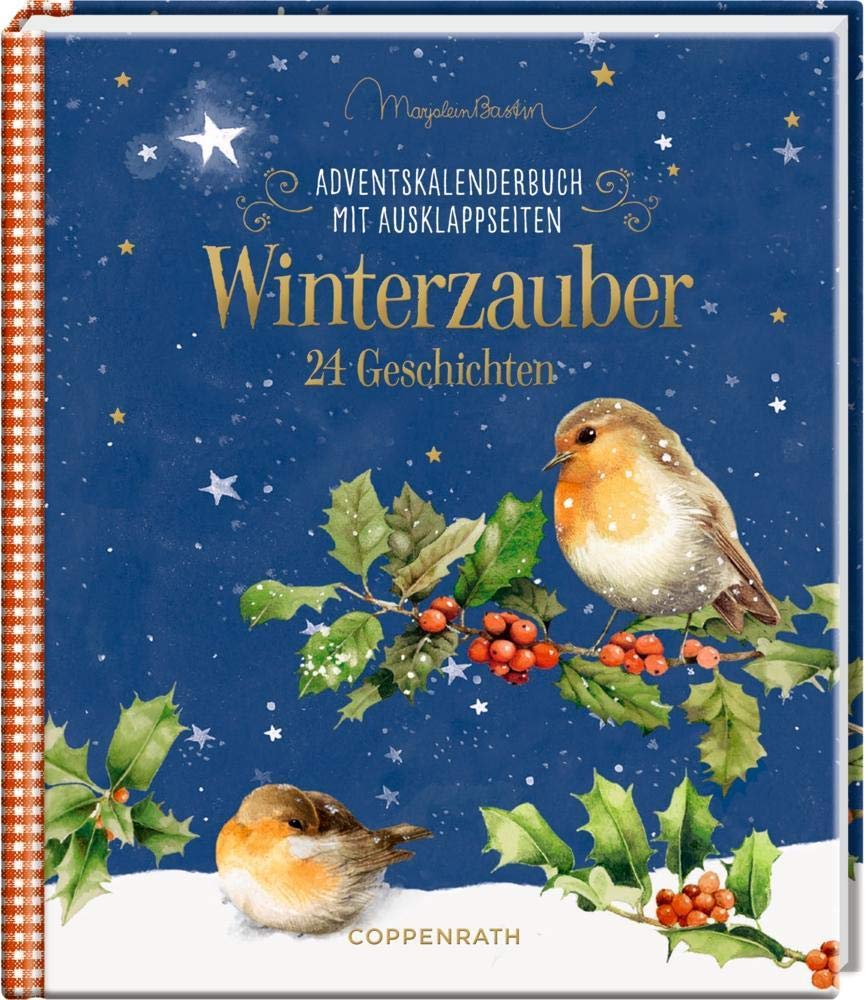 Winterzauber - 24 Geschichten LGBTQ+