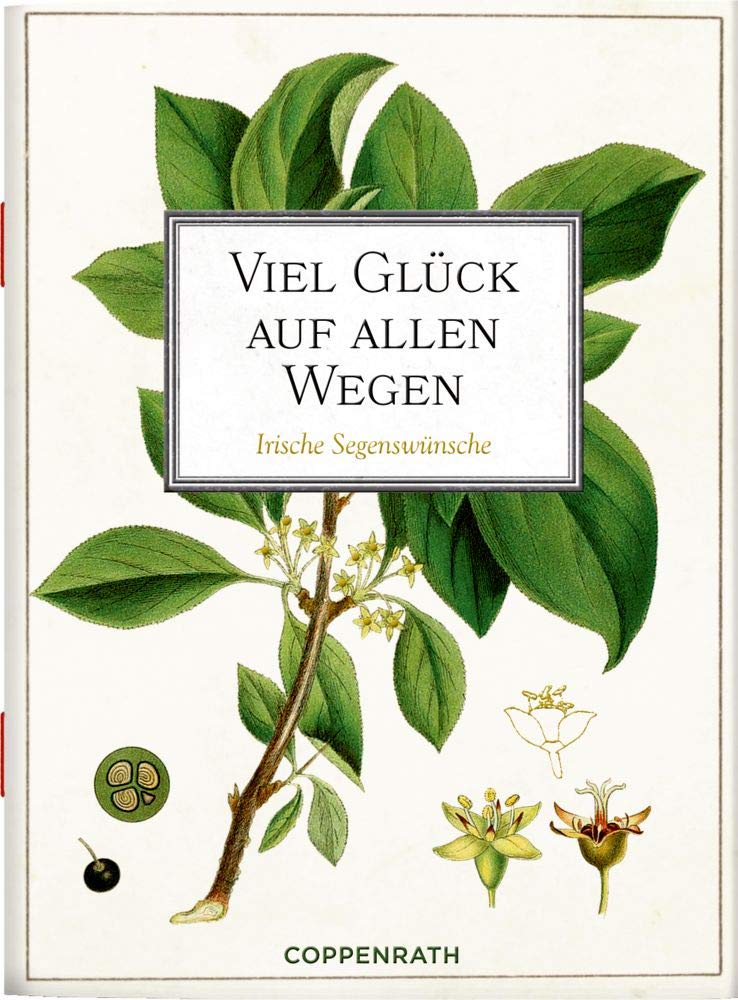 Viel Glück auf allen Wegen: Irische Segenswünsche (Schöne Grüße) Poetry