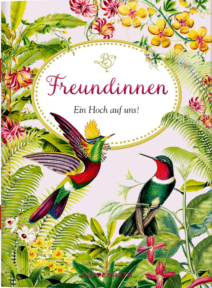 Freundinnen: Ein Hoch auf uns! (Schöne Grüße) book