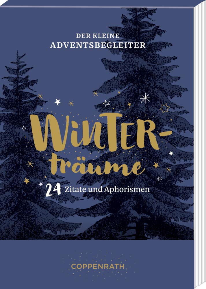 Der kleine Adventsbegleiter - Winterträume Poetry