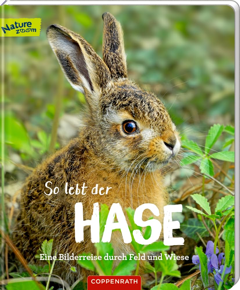 Product Image: So lebt der Hase