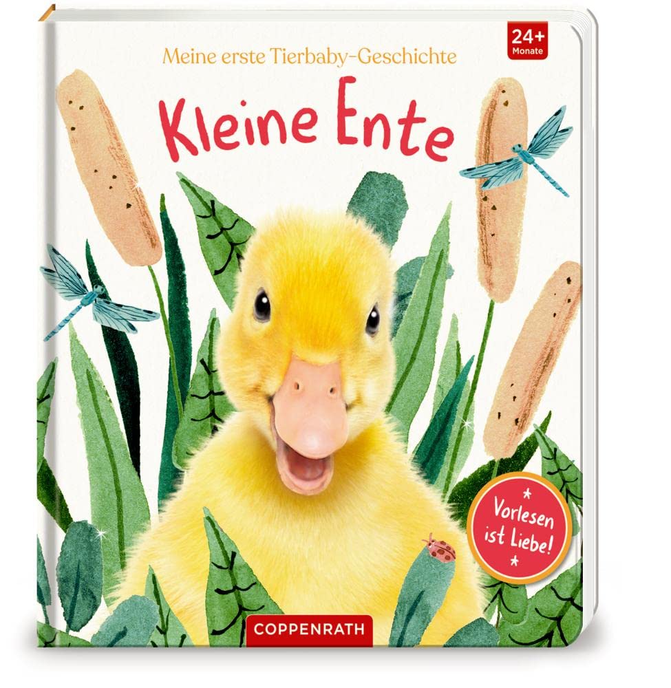 Meine erste Tierbaby-Geschichte: Kleine Ente Non-fiction