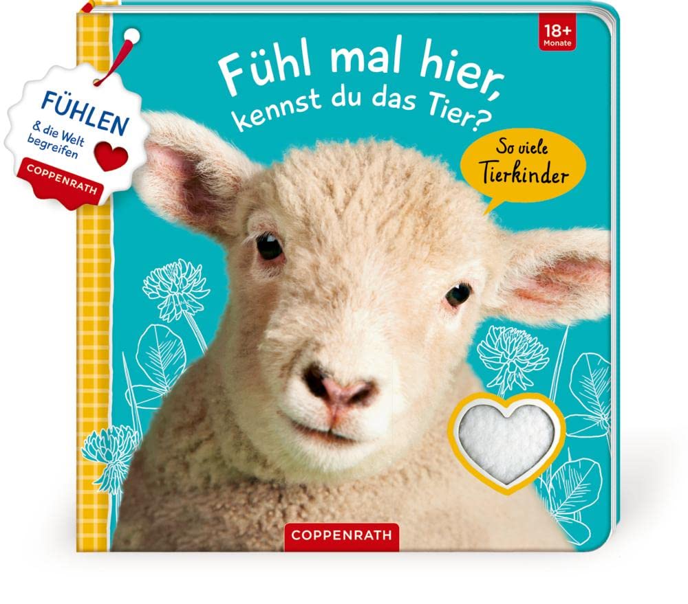 Fühl mal hier, kennst du das Tier? So viele Tierkinder: Fühlen und die Welt begreifen Non-fiction