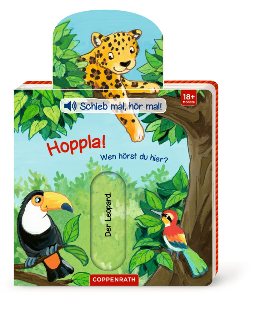 Schieb mal, hör mal! Hoppla! Wen hörst du hier? Non-fiction