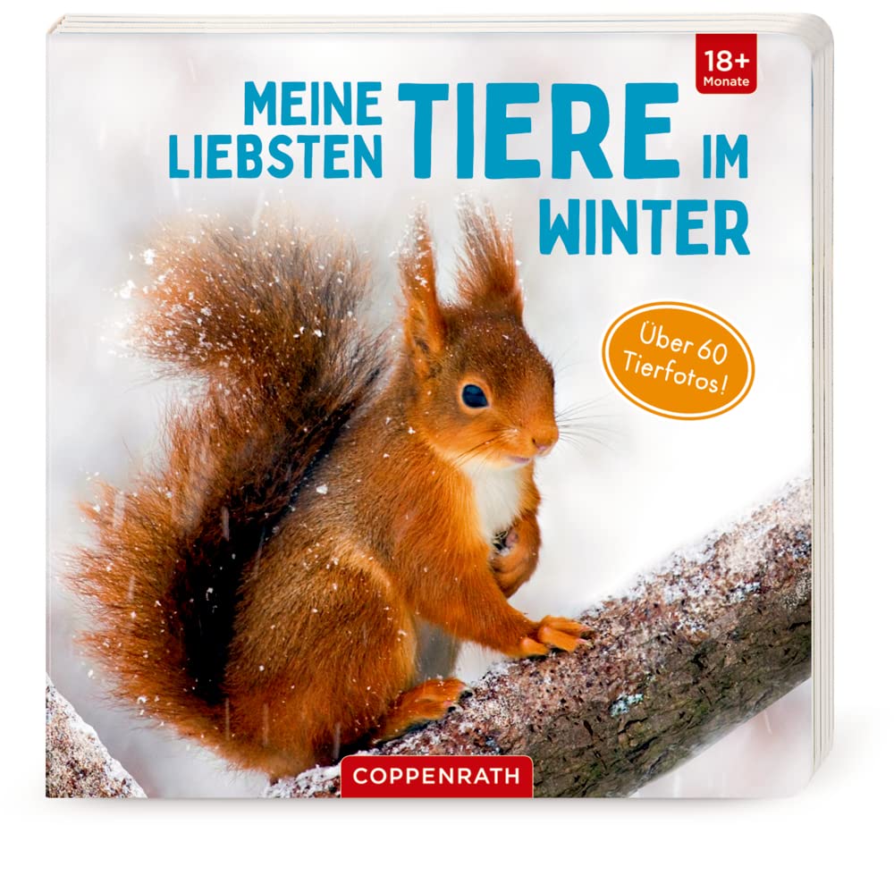 Product Image: Meine liebsten Tiere im Winter