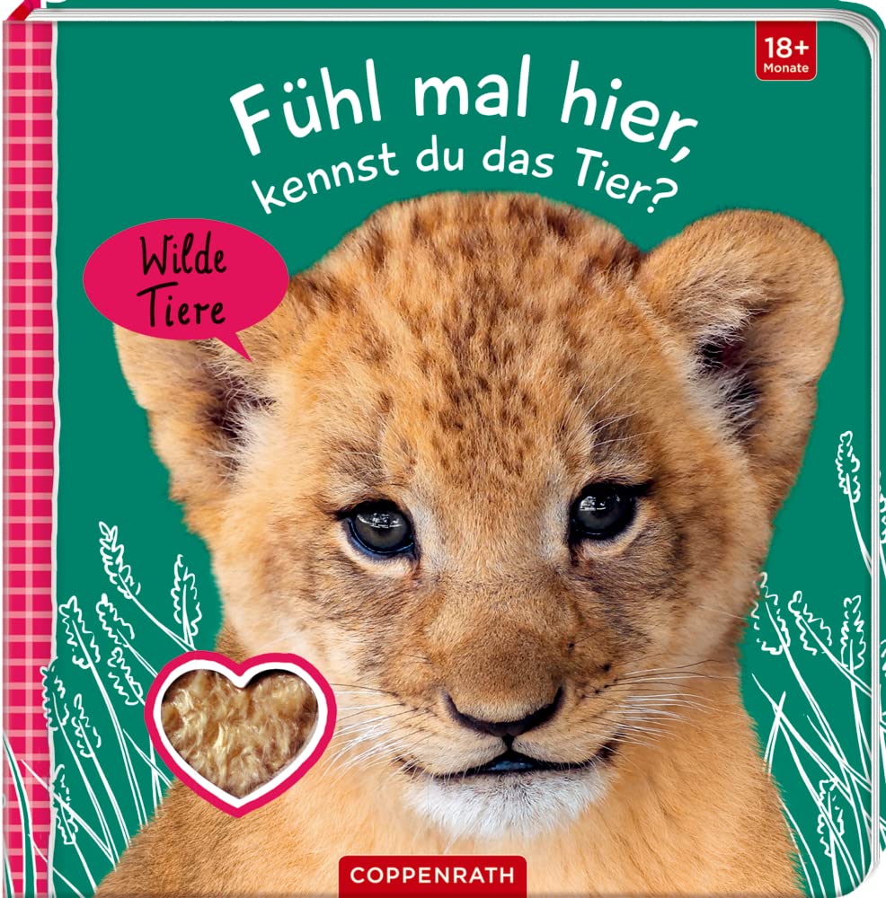 Fühl mal hier, kennst du das Tier? Wilde Tiere Non-fiction