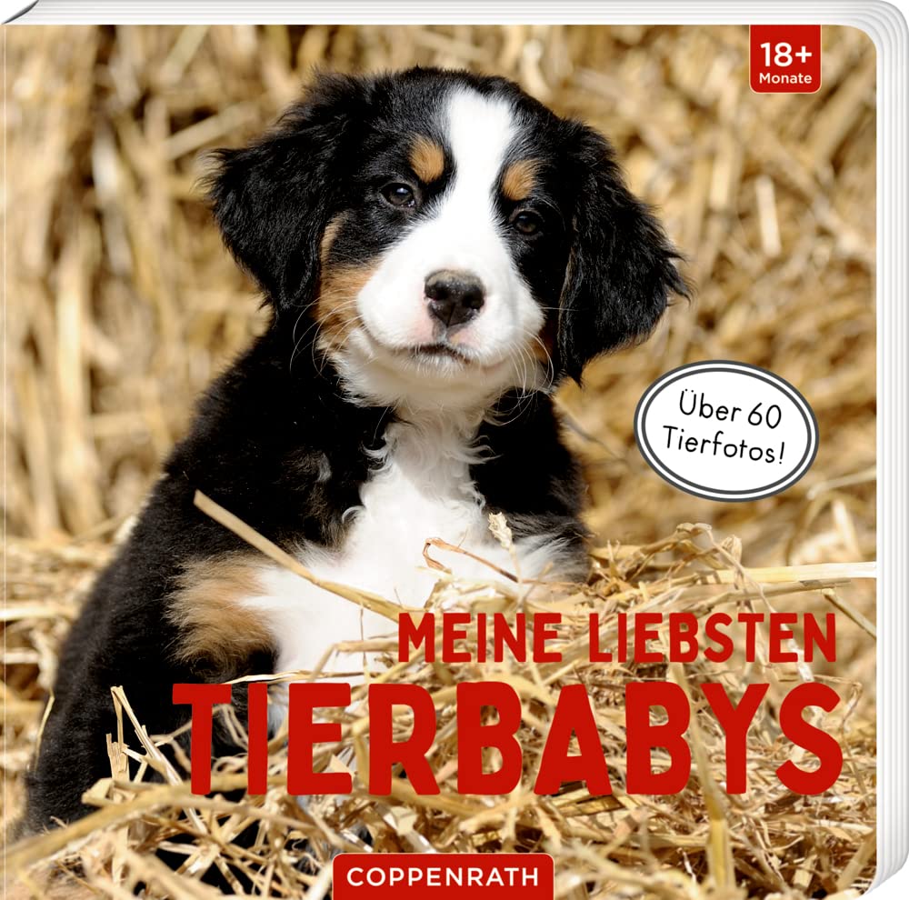 Meine liebsten Tierbabys Non-fiction