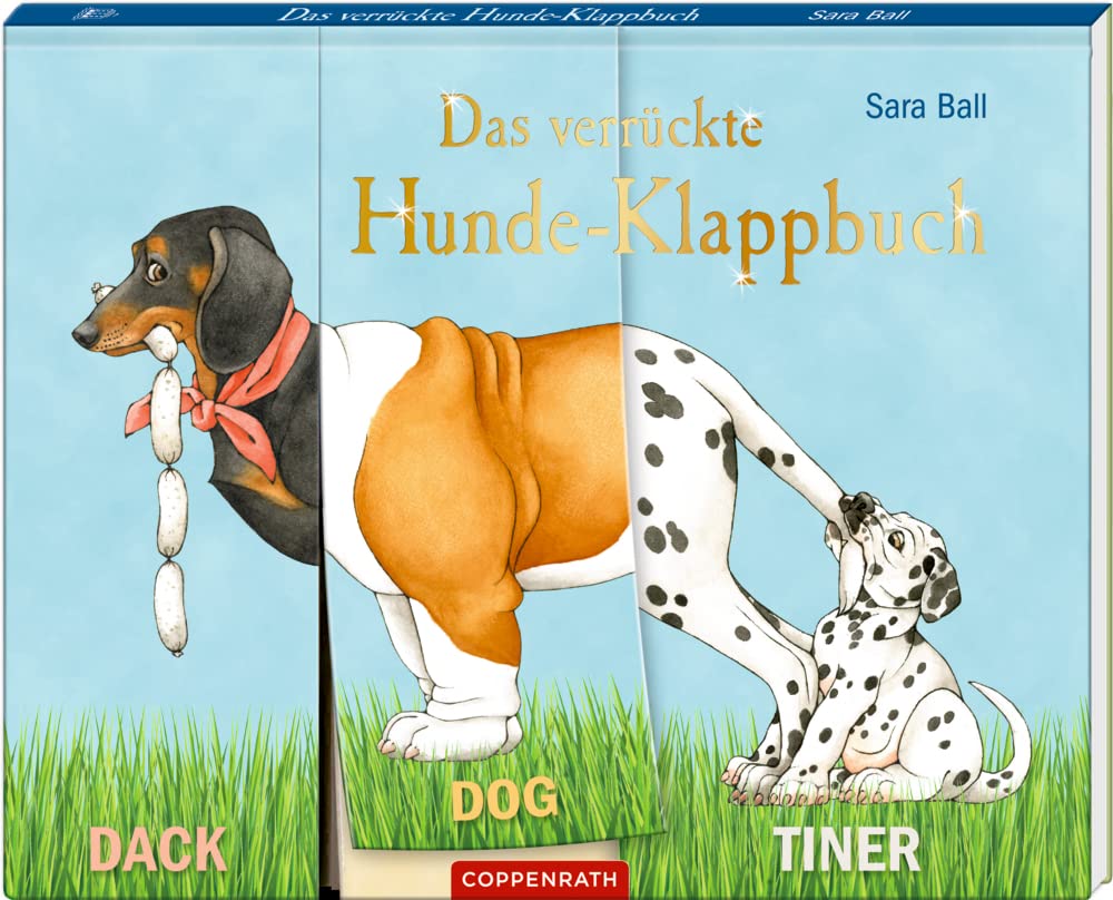 Das verrückte Hunde-Klappbuch Non-fiction