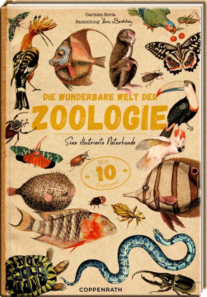 Die wunderbare Welt der Zoologie Film, Art & Culture