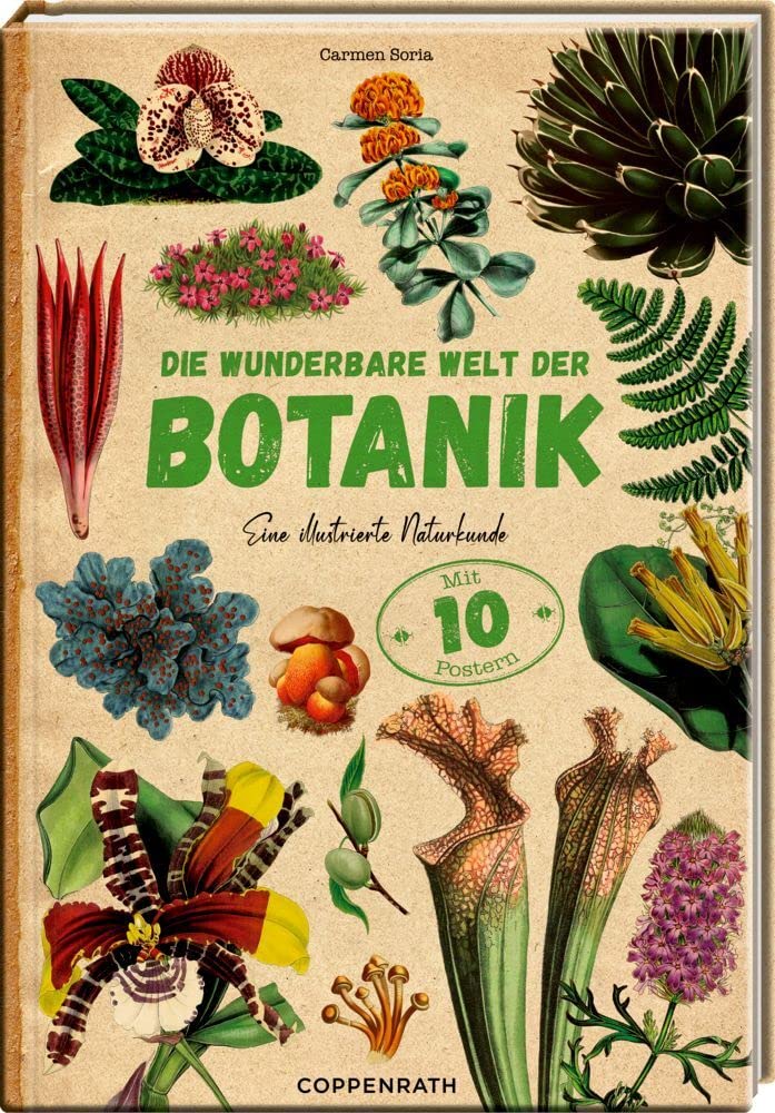 Product Image: Die wunderbare Welt der Botanik