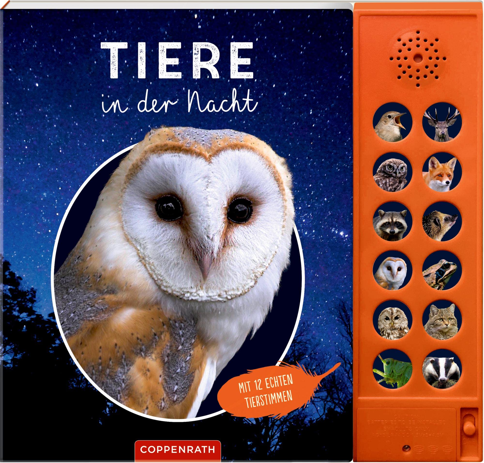 Tiere in der Nacht: Mit 12 echten Tierstimmen (Nature Zoom) book