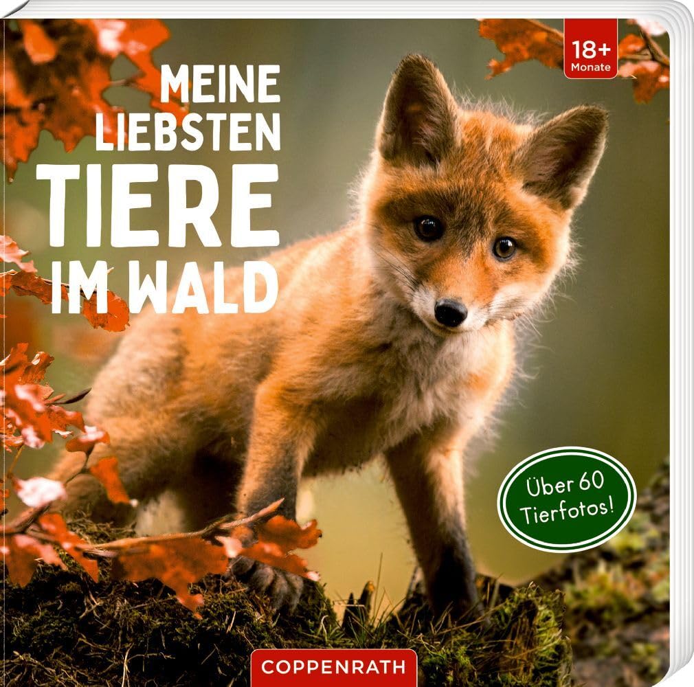 Meine liebsten Tiere im Wald Non-fiction