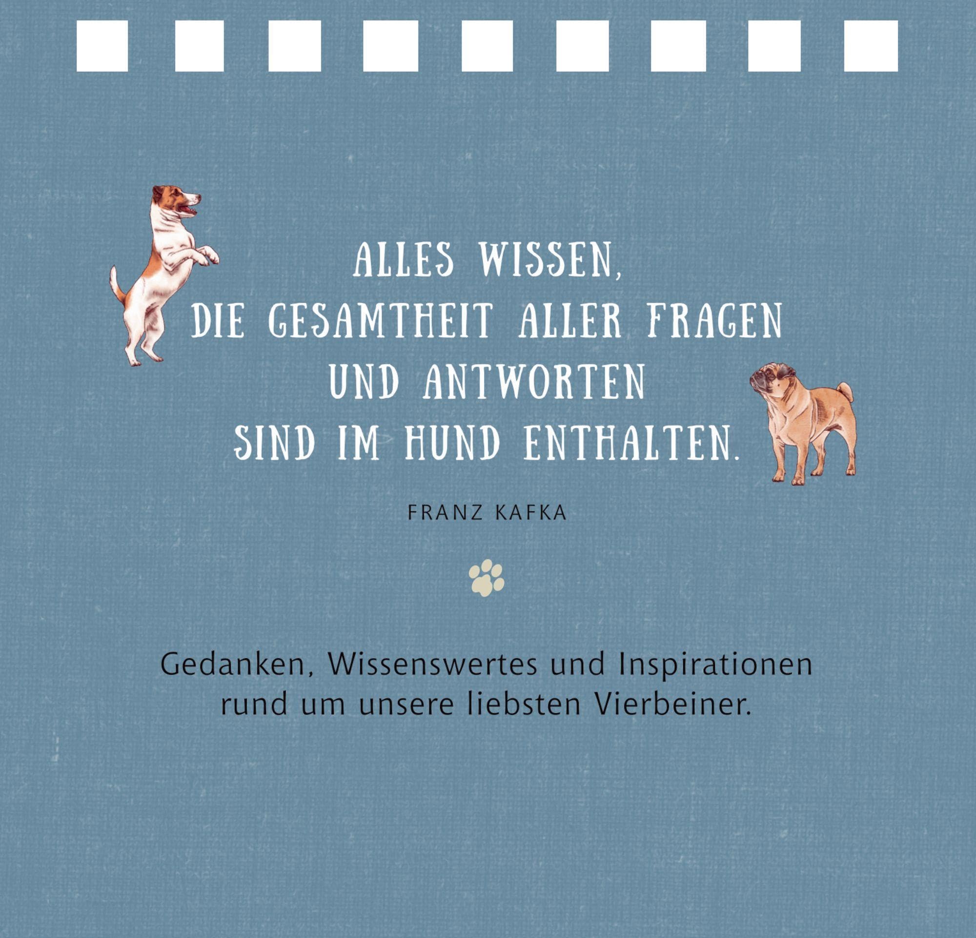Tierisch beste Freunde Lifestyle