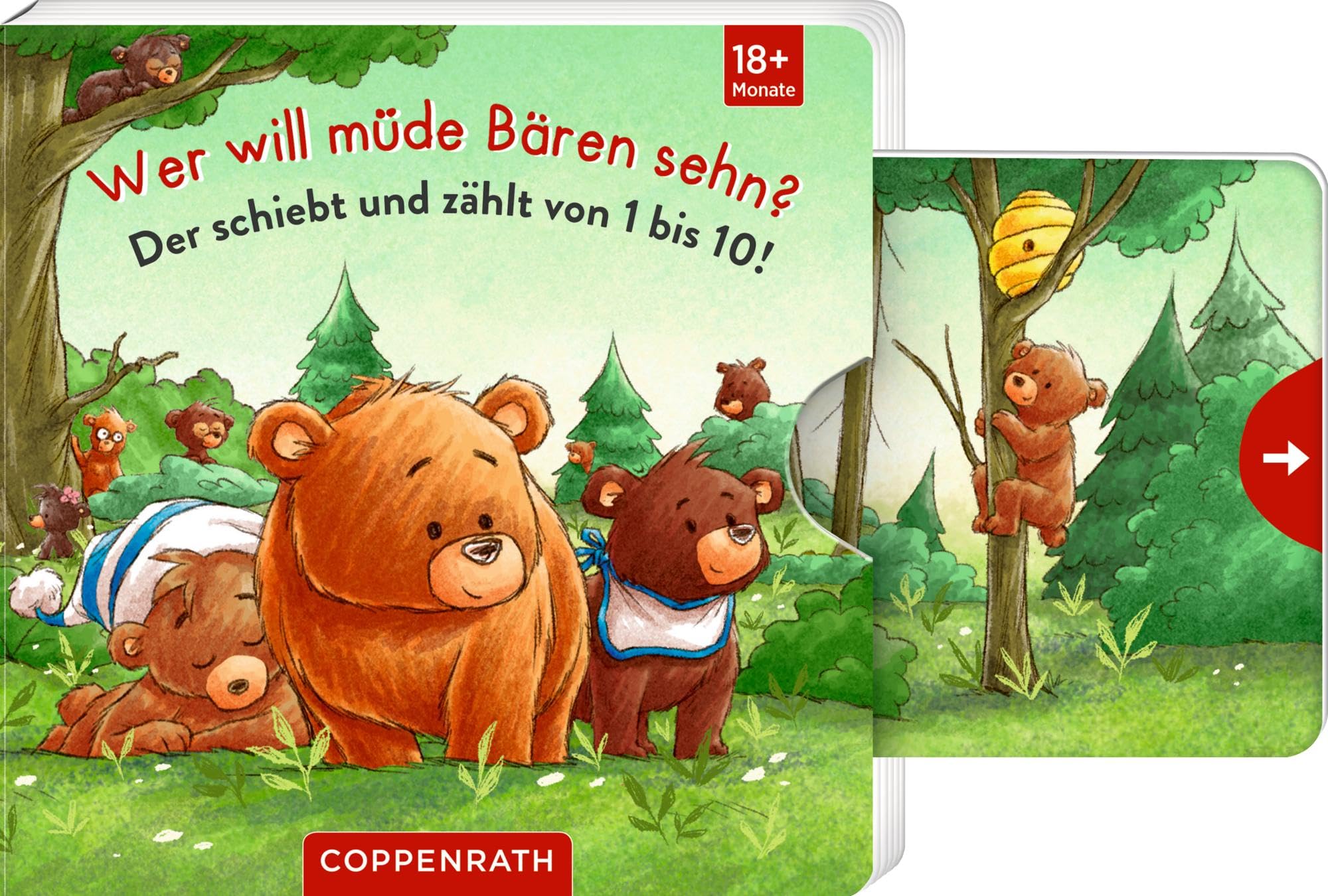Wer will müde Bären sehn? Non-fiction books for kids