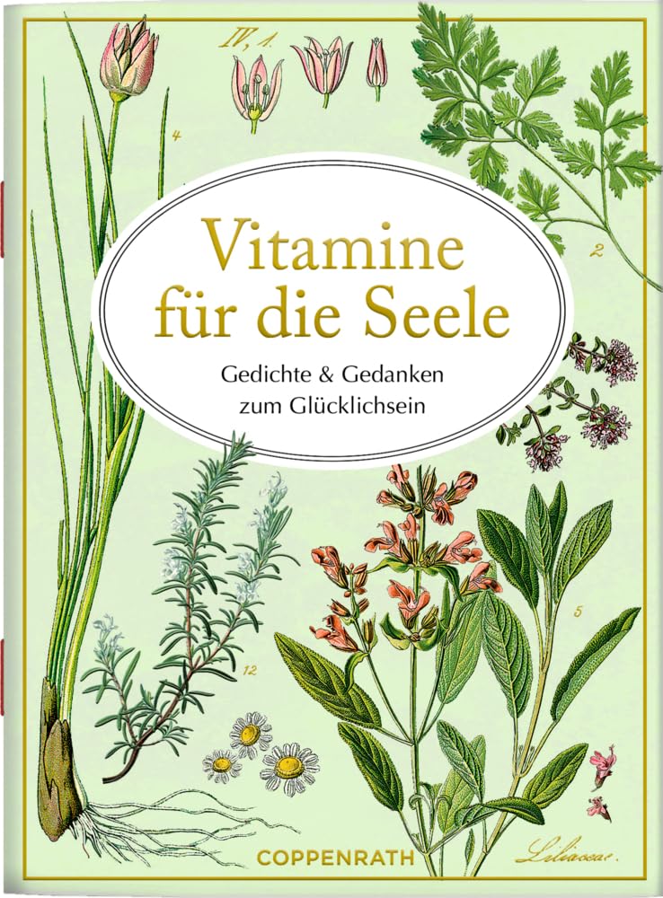 Vitamine für die Seele Lifestyle Books