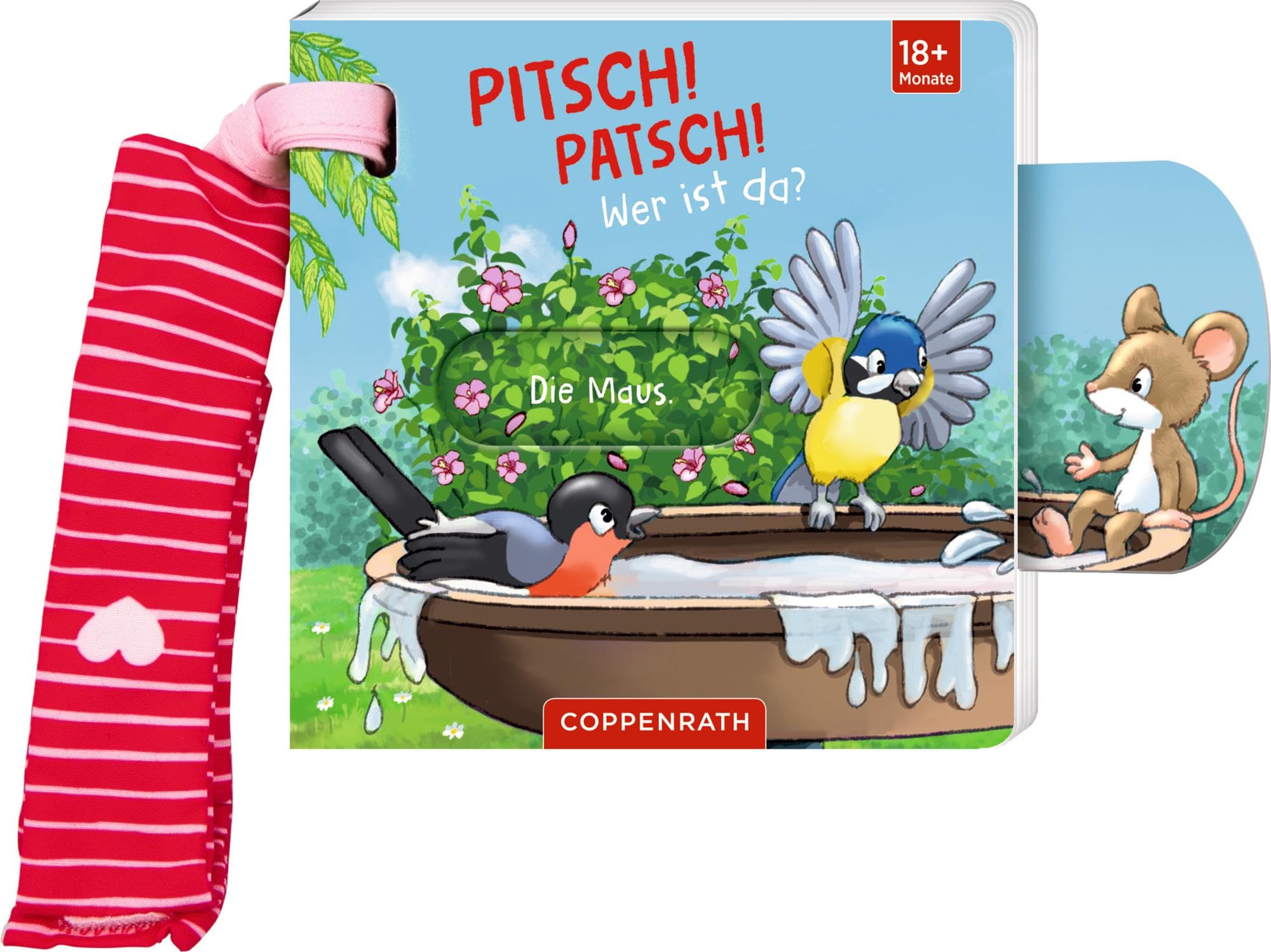 Mein Schieberbuch für den Buggy: Pitsch! Patsch! Wer ist da? book