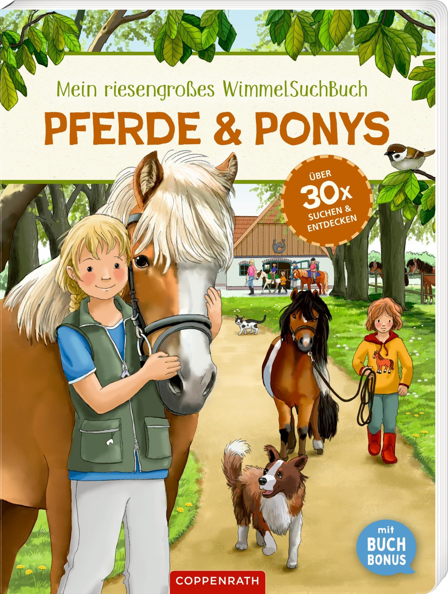 Mein riesengroßes WimmelSuchBuch: Pferde & Ponys Non-fiction