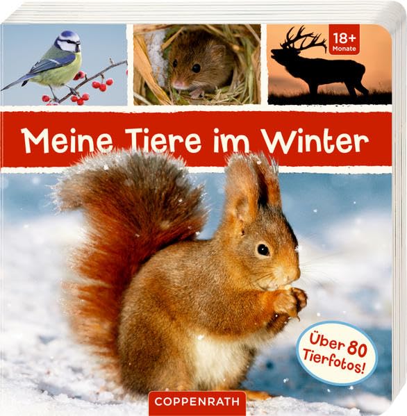 Meine Tiere im Winter PC