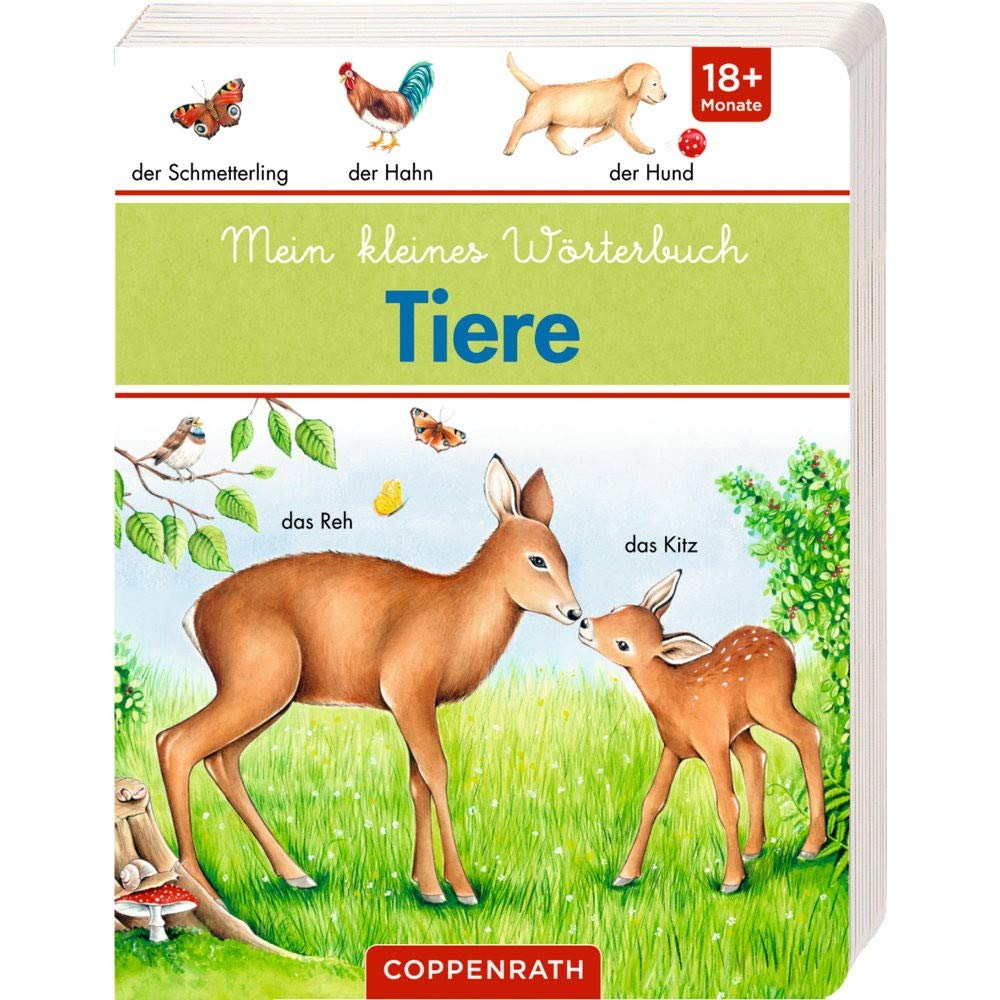 Mein kleines Wörterbuch: Tiere Learning & Reference