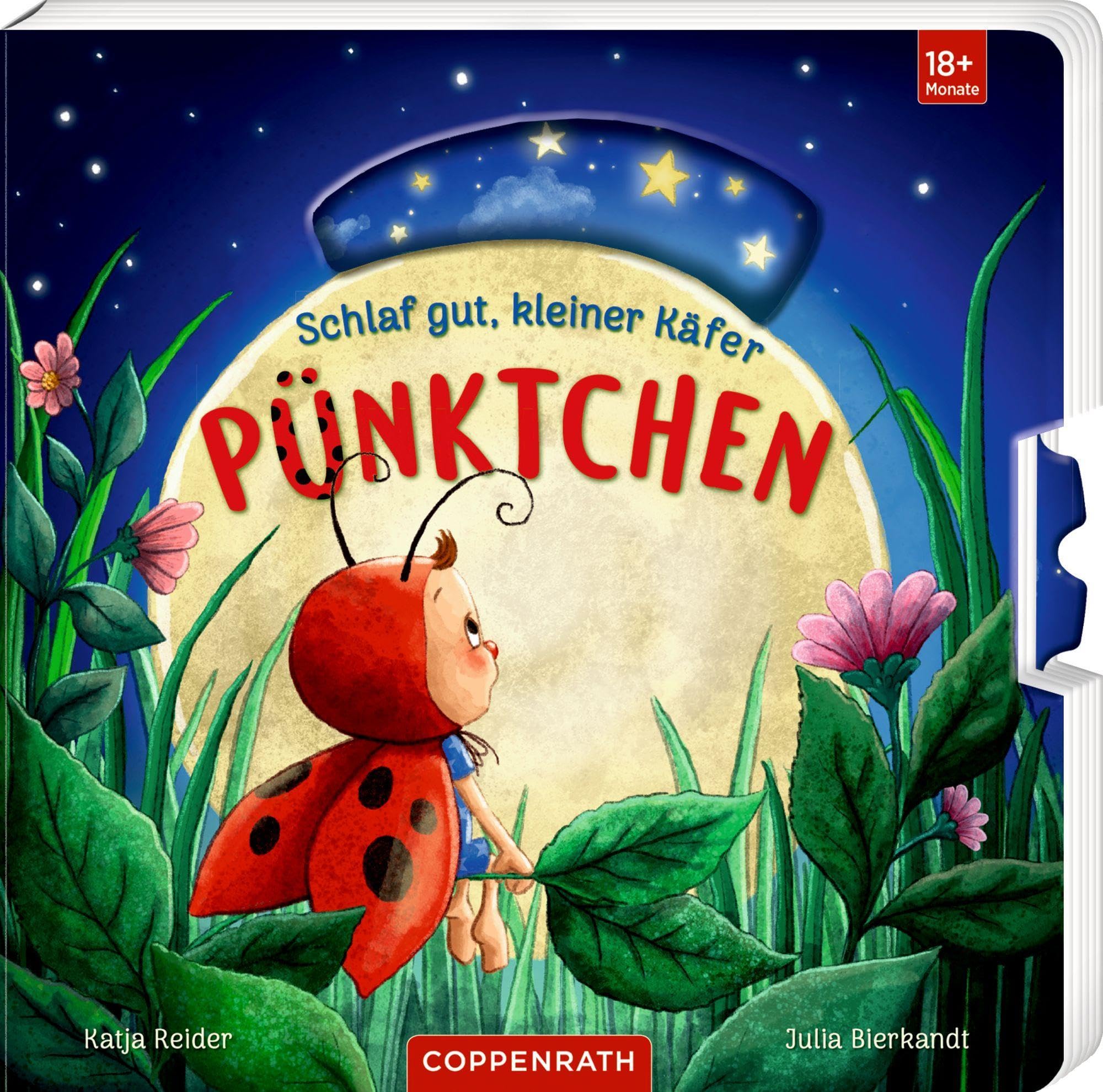 Schlaf gut, kleiner Käfer Pünktchen Non-fiction