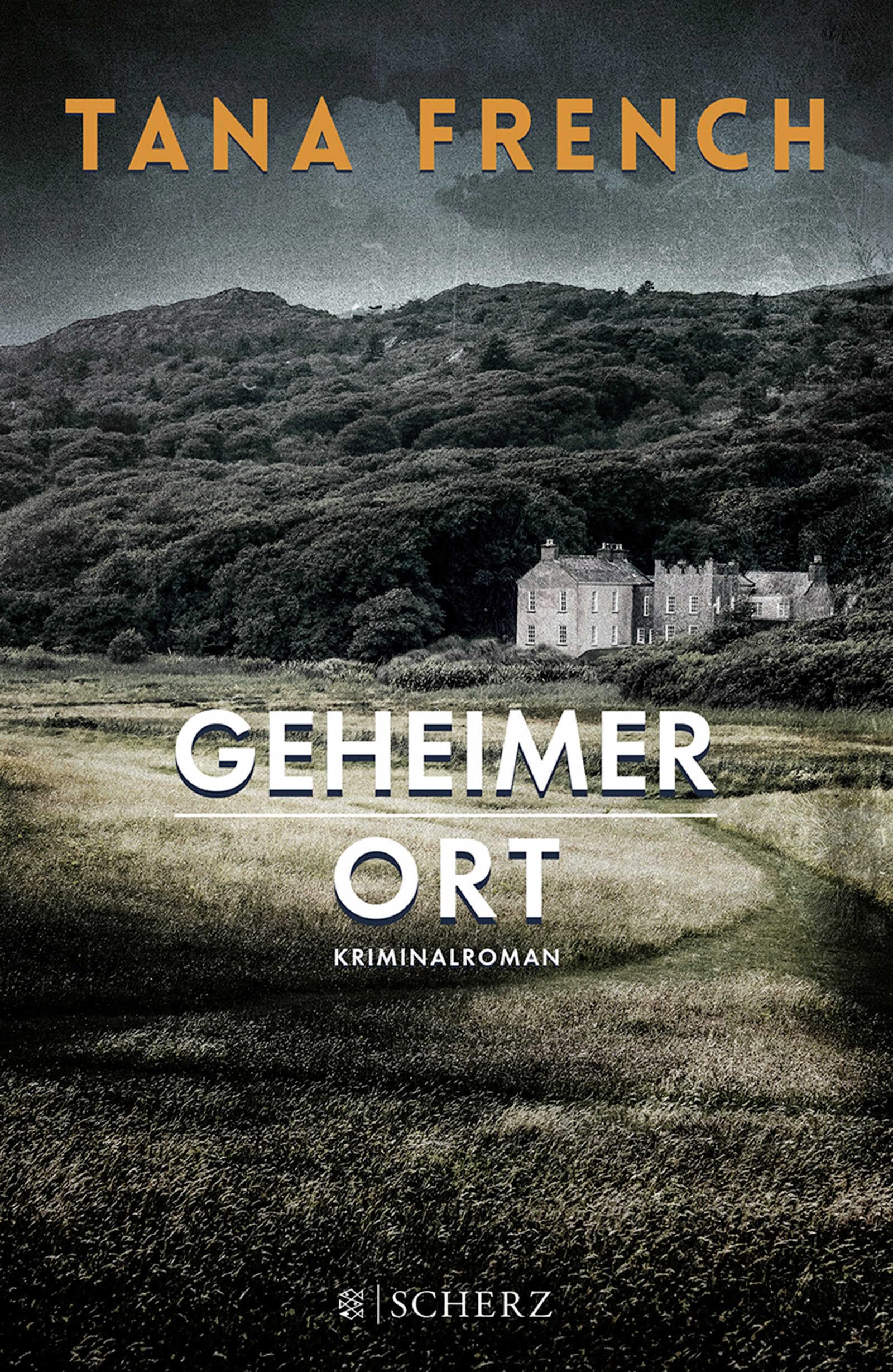 Geheimer Ort: Kriminalroman (Mordkommission Dublin, Band 5) Action & Adventure