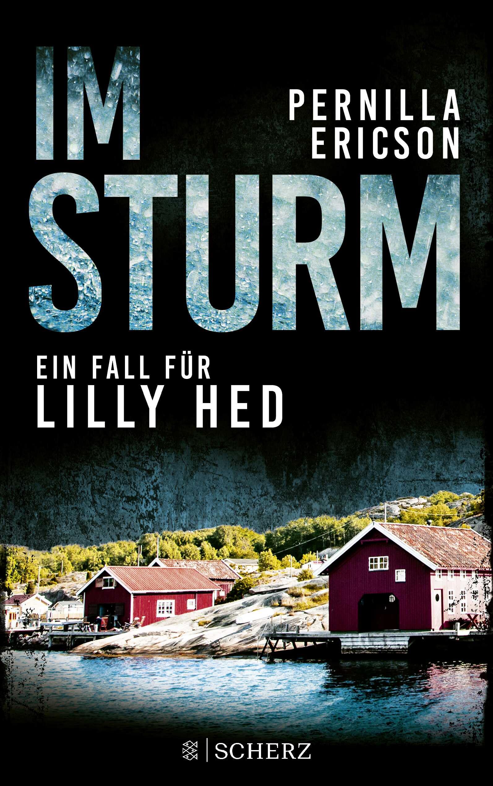 Im Sturm Contemporary literature Books