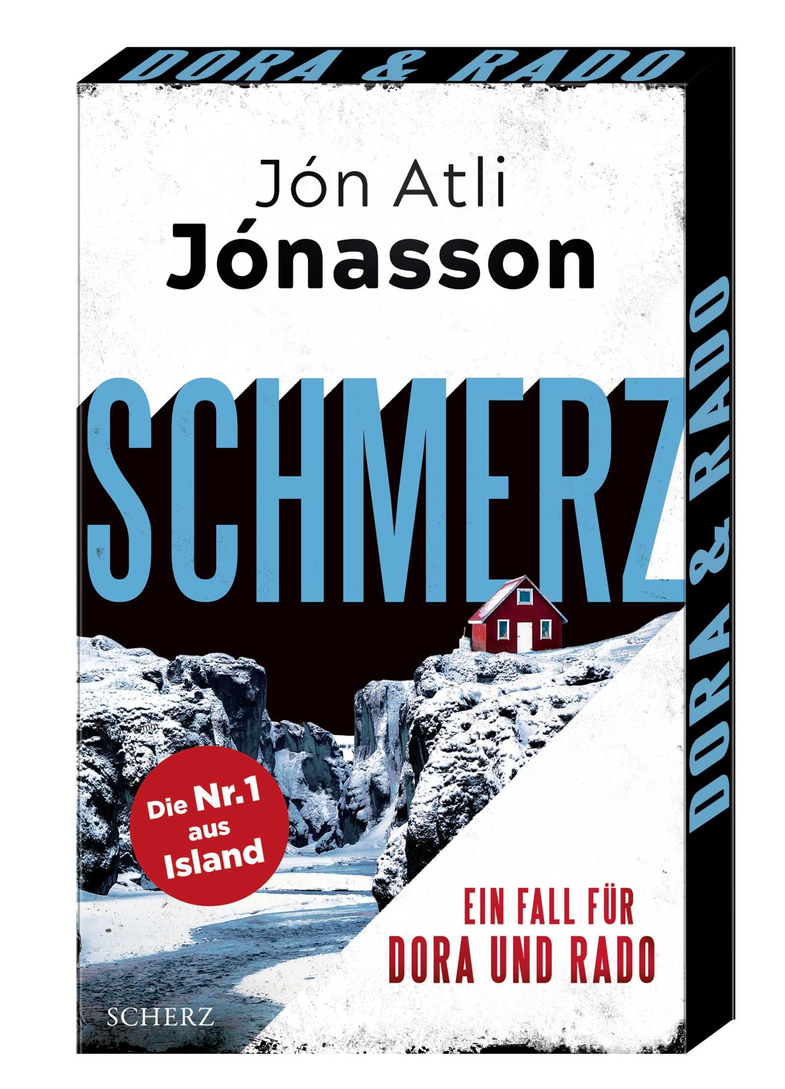 Schmerz Contemporary literature Books