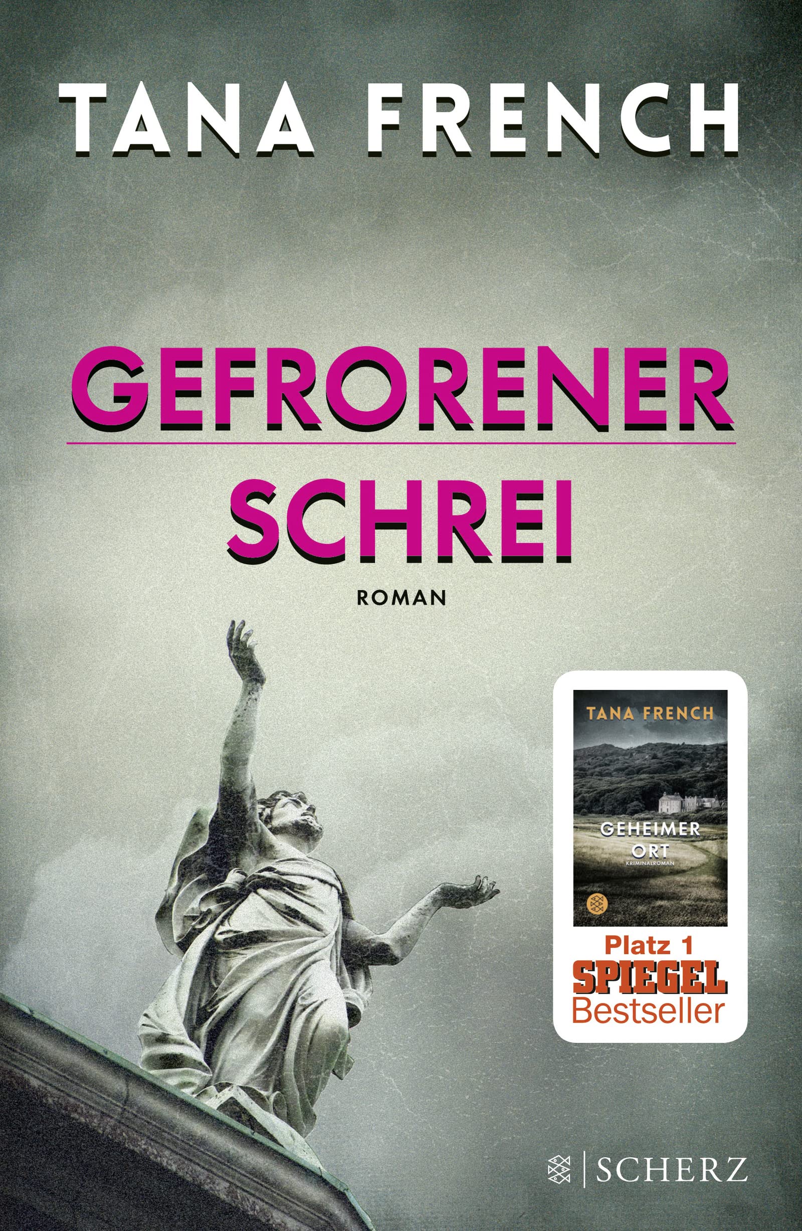 Gefrorener Schrei Medicine
