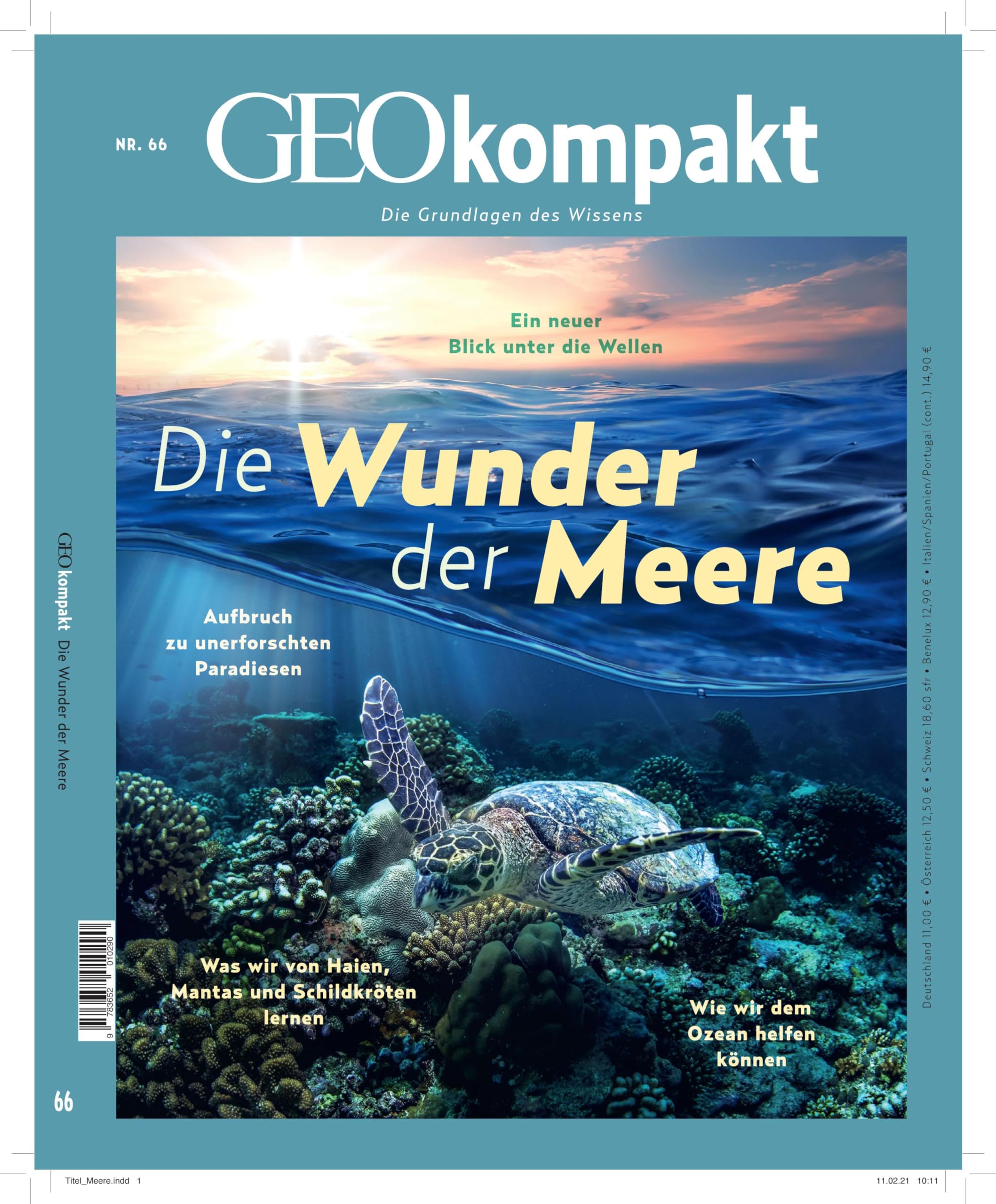 GEOkompakt 66/2021 - Die Wunder der Meere Reference Books