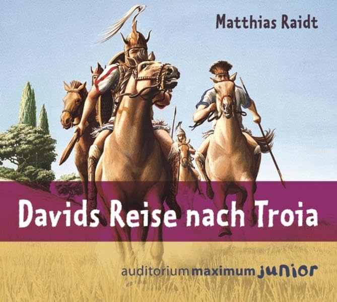 Davids Reise nach Troia Politics & History books