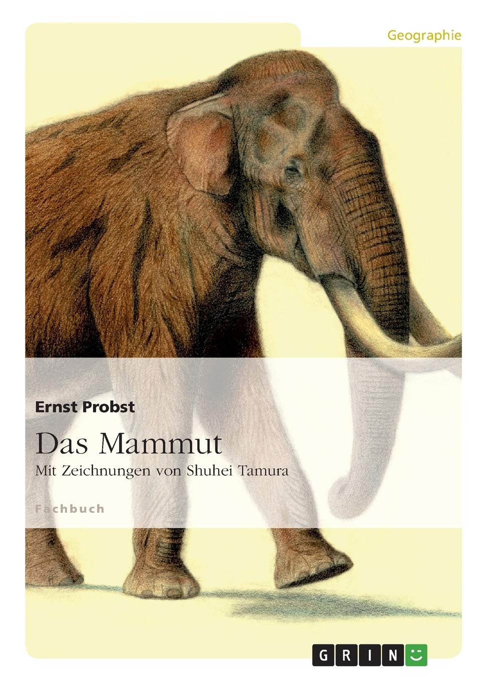 Das Mammut: Mit Zeichnungen von Shuhei Tamura Business & Technology