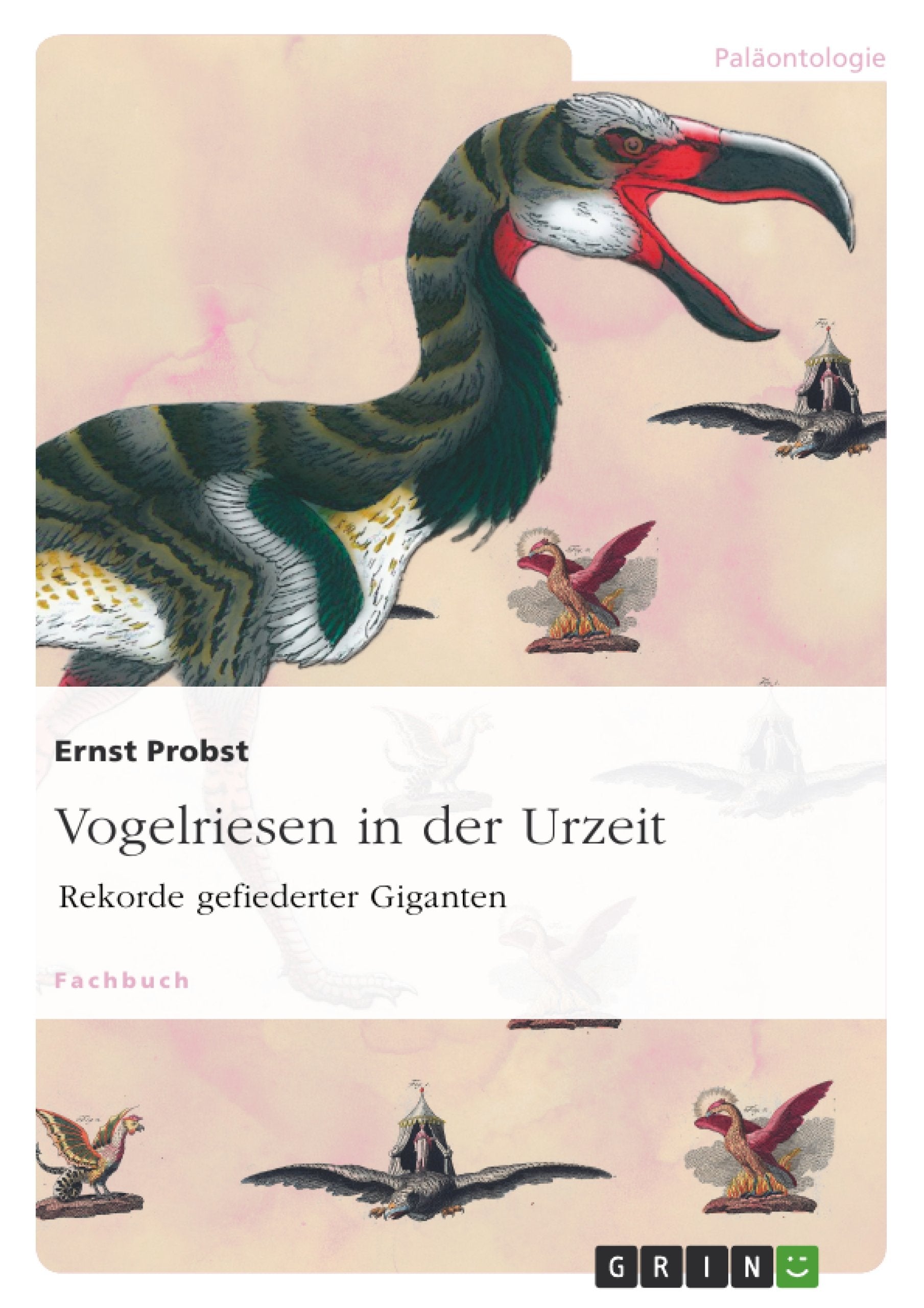 Vogelriesen in der Urzeit: Rekorde gefiederter Giganten Business & Technology