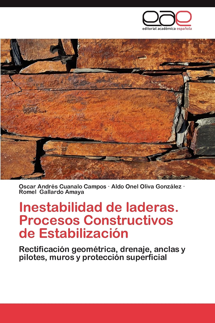 Inestabilidad de laderas. Procesos Constructivos de Estabilización: Rectificación geométrica, drenaje, anclas y pilotes, muros y protección superficial book
