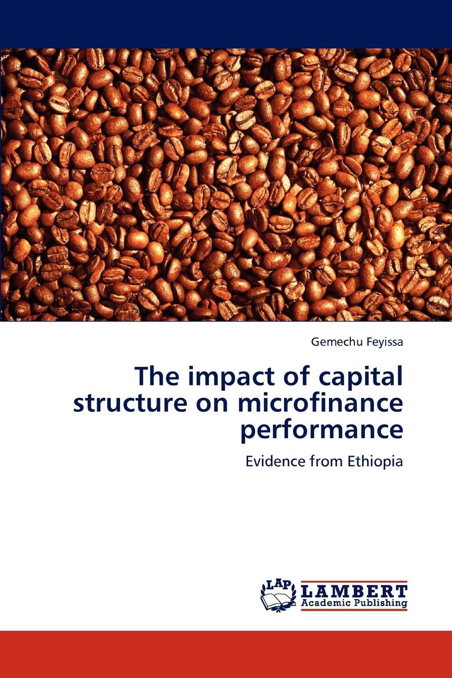 The impact of capital structure on microfinance performance: Evidence from Ethiopia Law