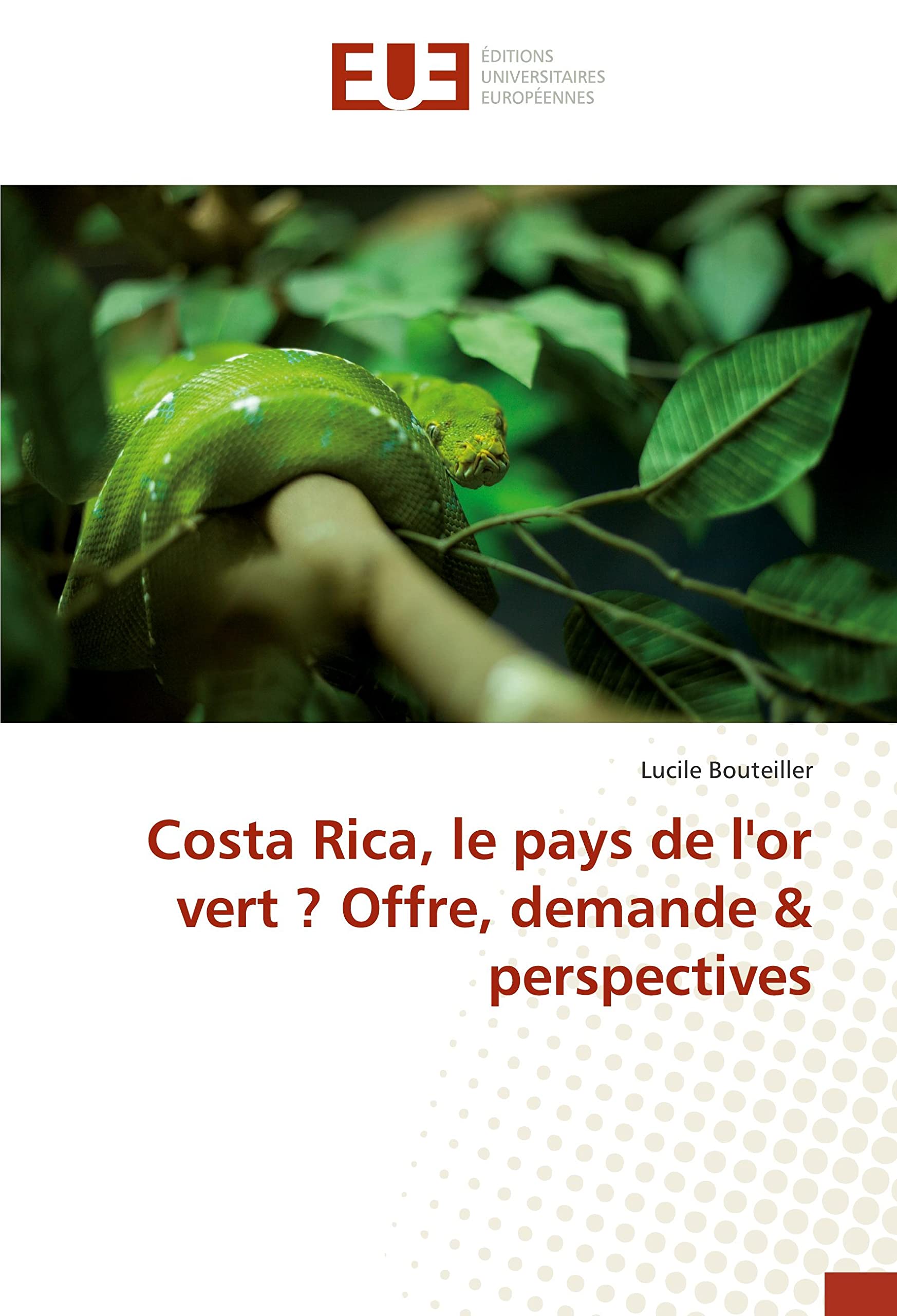 Costa Rica, le pays de l'or vert ? Offre, demande & perspectives book