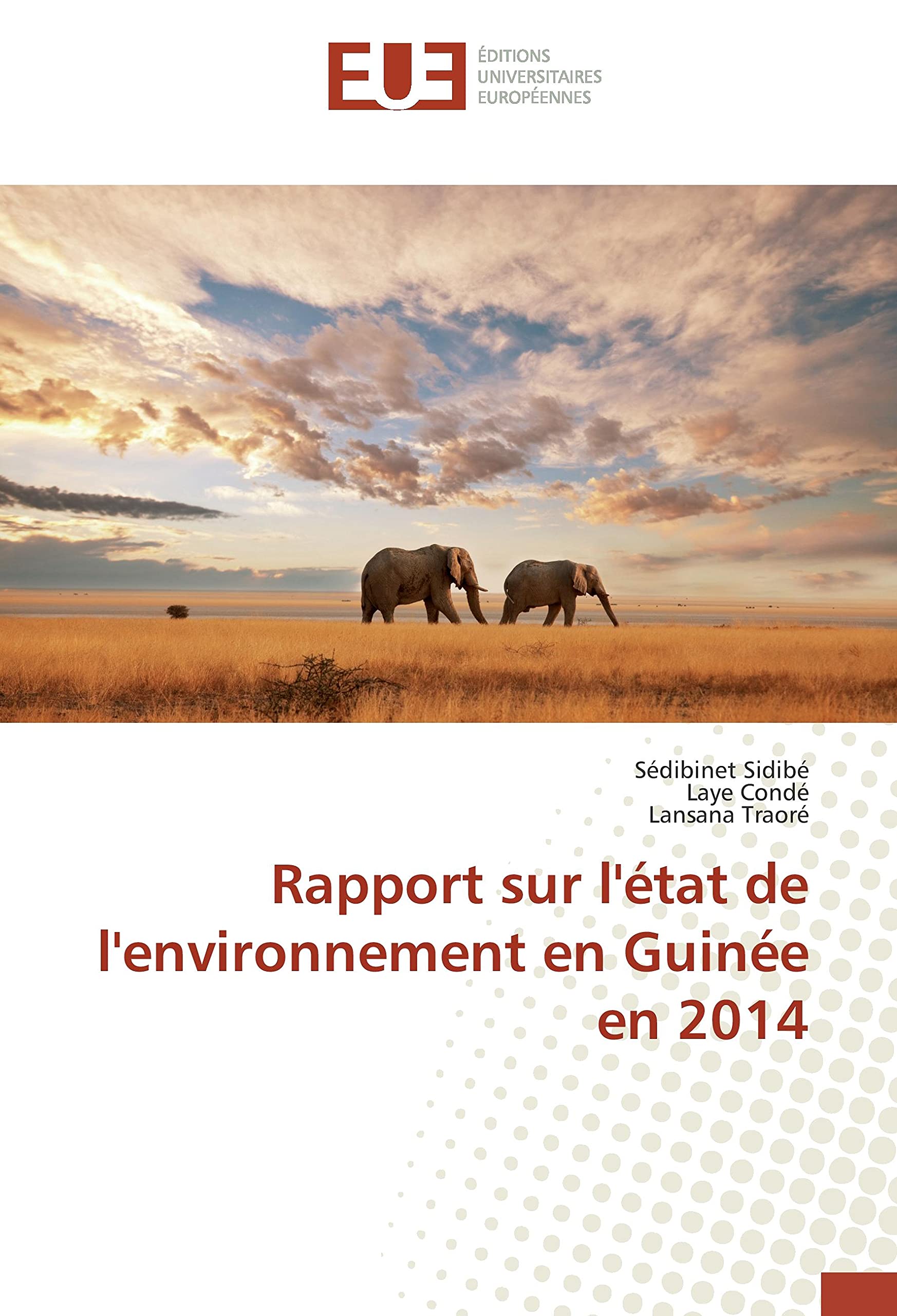 Rapport sur l'état de l'environnement en Guinée en 2014 book
